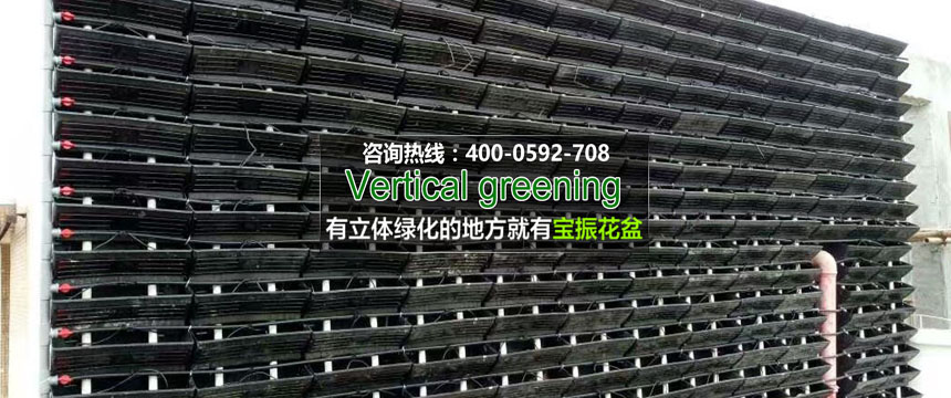廈門市第一中學(xué)室內(nèi)垂直墻立體綠化