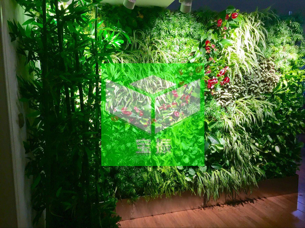 垂直綠化植物墻，的三大核心價值